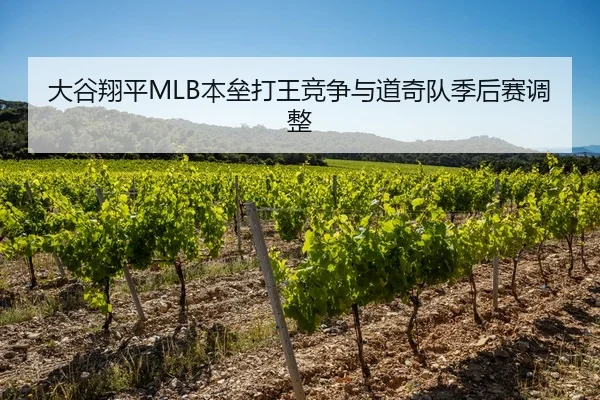 大谷翔平MLB本垒打王竞争与道奇队季后赛调整