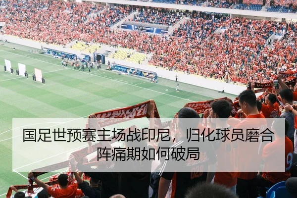 国足世预赛主场战印尼，归化球员磨合阵痛期如何破局