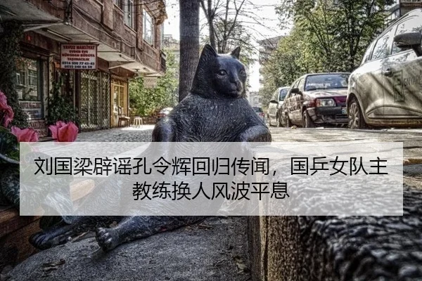 刘国梁辟谣孔令辉回归传闻，国乒女队主教练换人风波平息