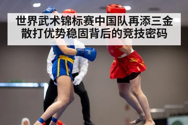 世界武术锦标赛中国队再添三金散打优势稳固背后的竞技密码