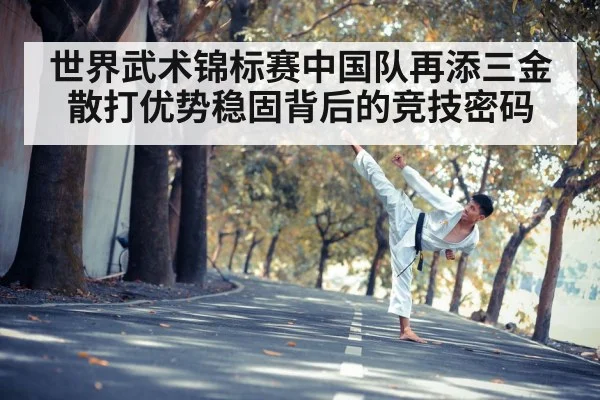 chinese martial arts fighter kicking